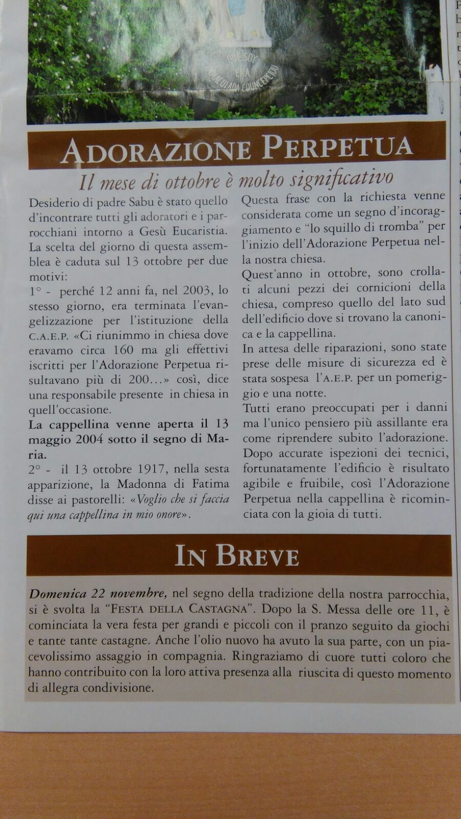 ricordo di donoratico